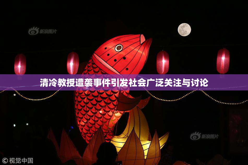 清冷教授遭袭事件引发社会广泛关注与讨论