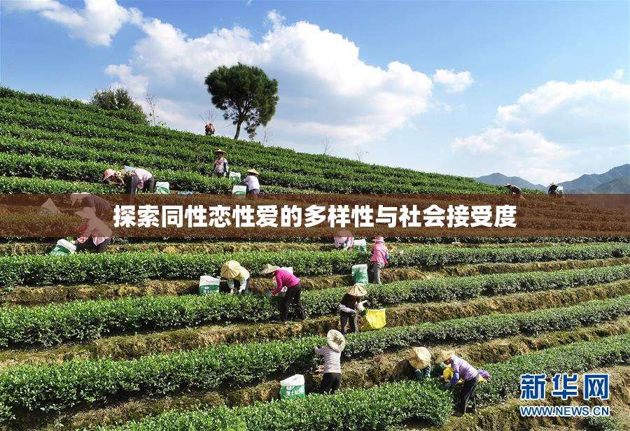 探索同性恋性爱的多样性与社会接受度