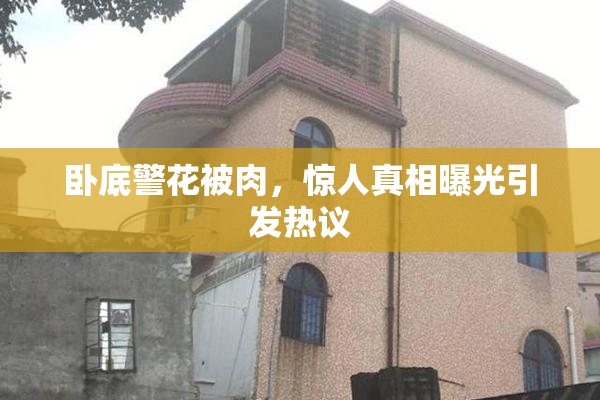 卧底警花被肉，惊人真相曝光引发热议