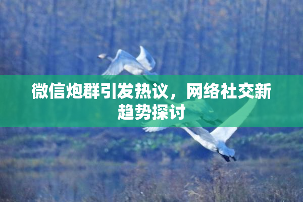 微信炮群引发热议，网络社交新趋势探讨