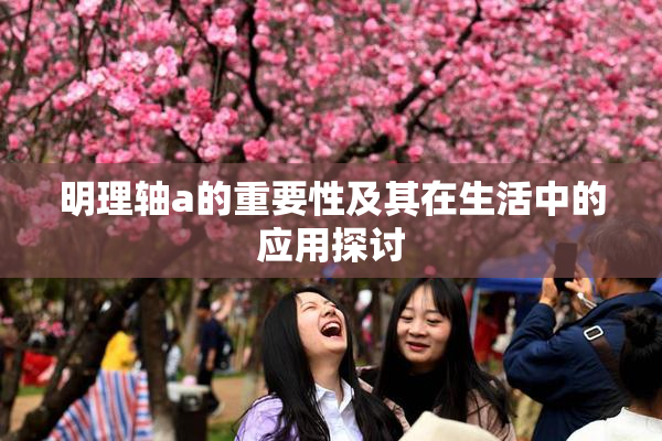 明理轴a的重要性及其在生活中的应用探讨