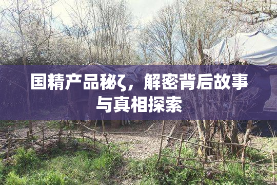 国精产品秘ζ，解密背后故事与真相探索