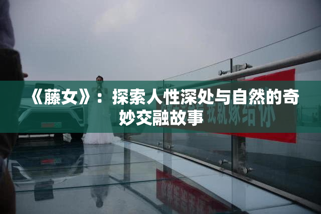 《藤女》：探索人性深处与自然的奇妙交融故事