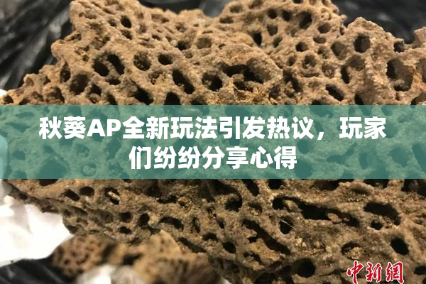 秋葵AP全新玩法引发热议，玩家们纷纷分享心得