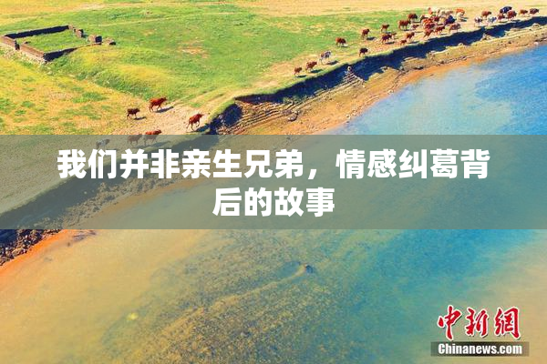 我们并非亲生兄弟，情感纠葛背后的故事