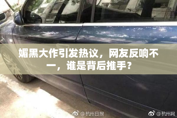 媚黑大作引发热议，网友反响不一，谁是背后推手？