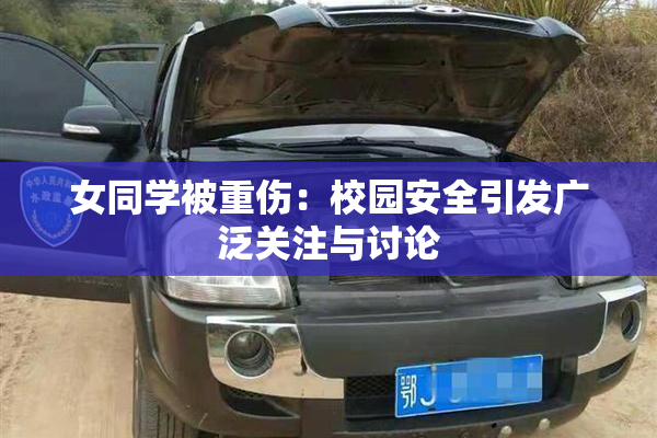 女同学被重伤：校园安全引发广泛关注与讨论