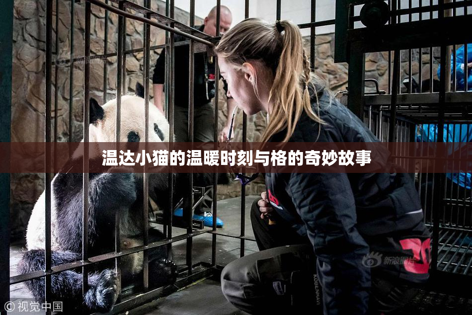 温达小猫的温暖时刻与格的奇妙故事