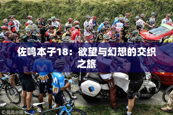 佐鸣本子18：欲望与幻想的交织之旅