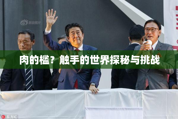 肉的槛？触手的世界探秘与挑战