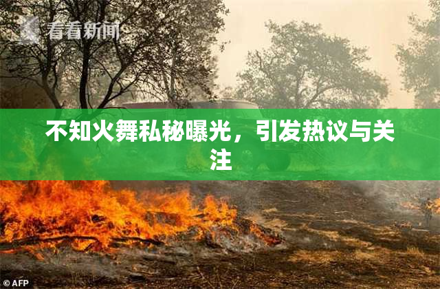 不知火舞私秘曝光，引发热议与关注
