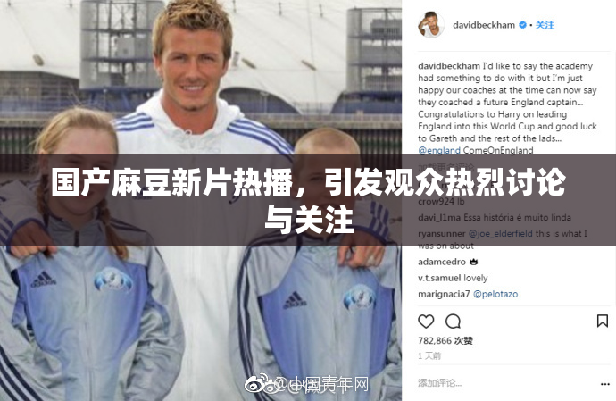 国产麻豆新片热播，引发观众热烈讨论与关注
