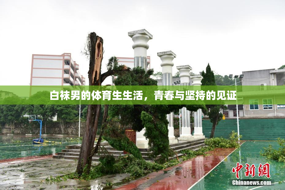 白袜男的体育生生活，青春与坚持的见证