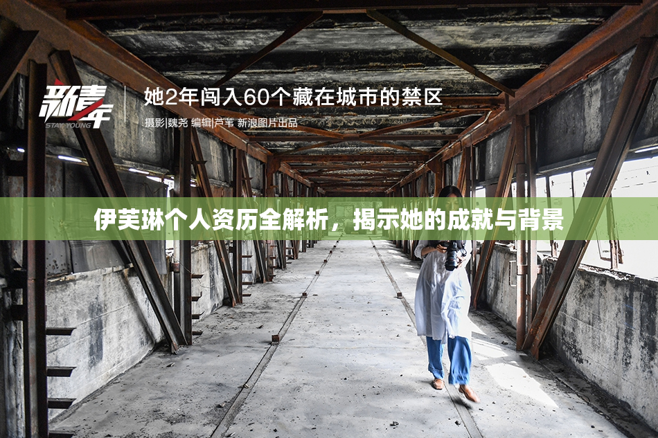 伊芙琳个人资历全解析，揭示她的成就与背景