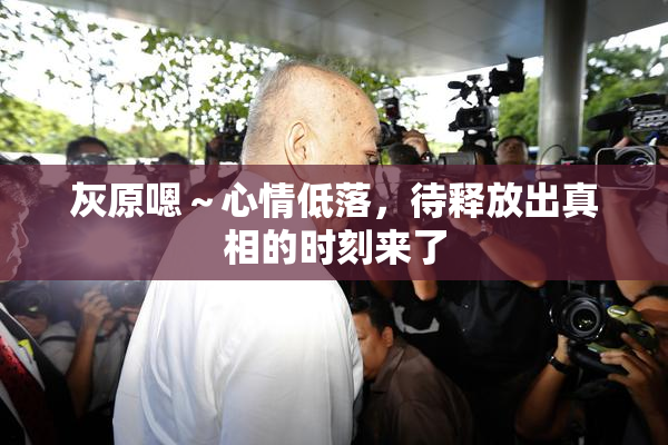 灰原嗯～心情低落，待释放出真相的时刻来了