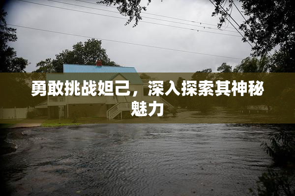 勇敢挑战妲己，深入探索其神秘魅力