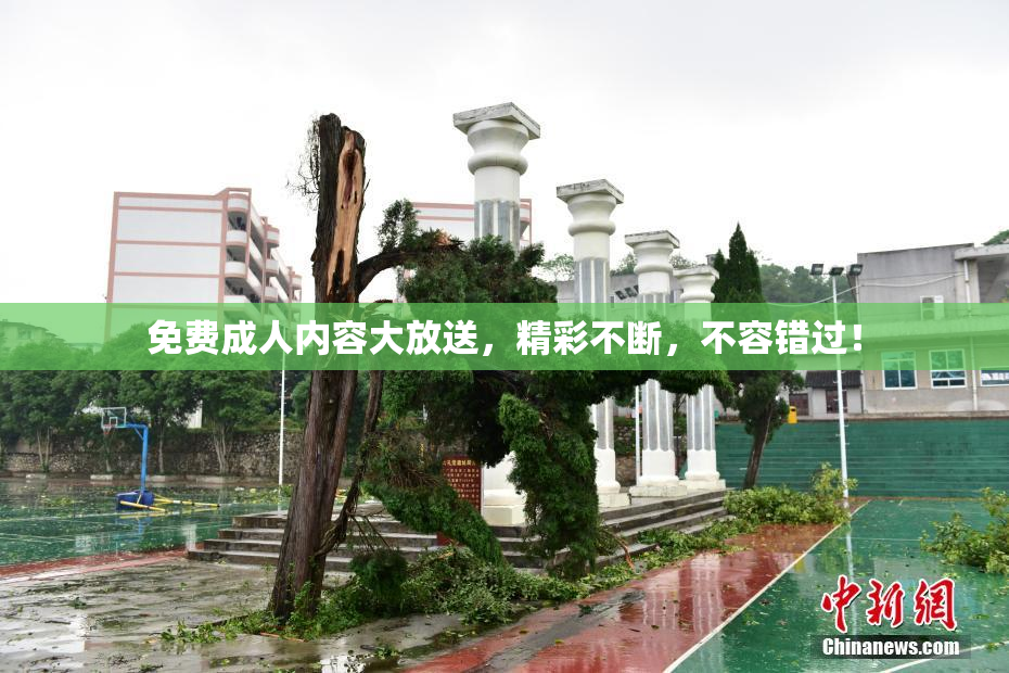 免费成人内容大放送，精彩不断，不容错过！