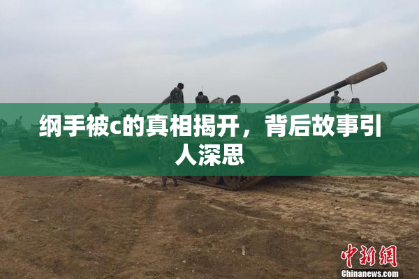 纲手被c的真相揭开，背后故事引人深思
