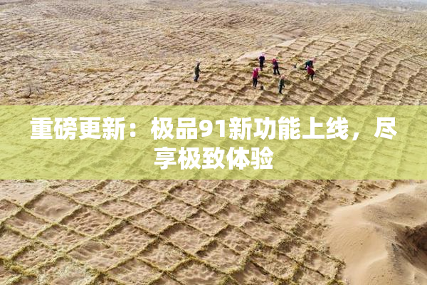 重磅更新：极品91新功能上线，尽享极致体验