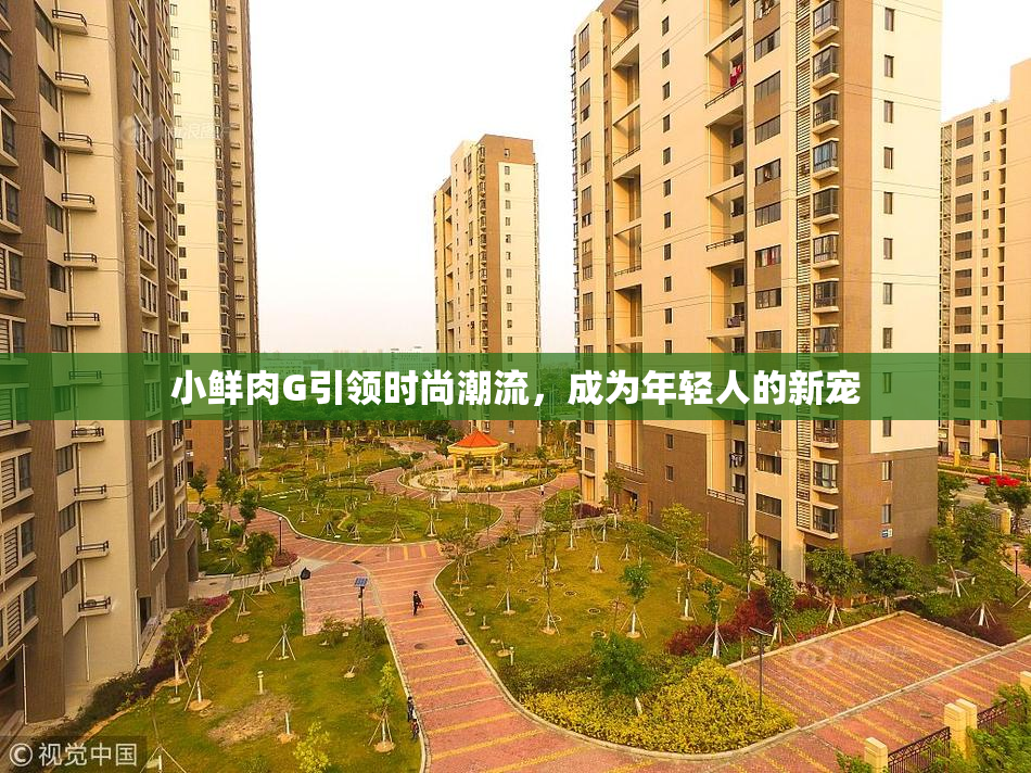 小鲜肉G引领时尚潮流，成为年轻人的新宠