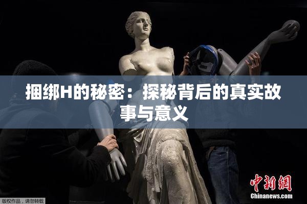 捆绑H的秘密：探秘背后的真实故事与意义