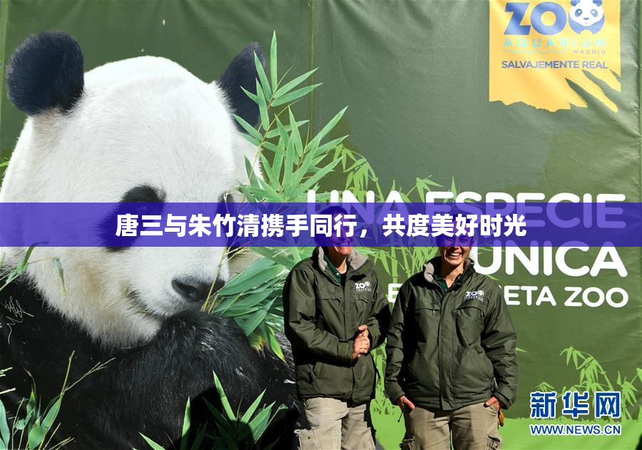 唐三与朱竹清携手同行，共度美好时光