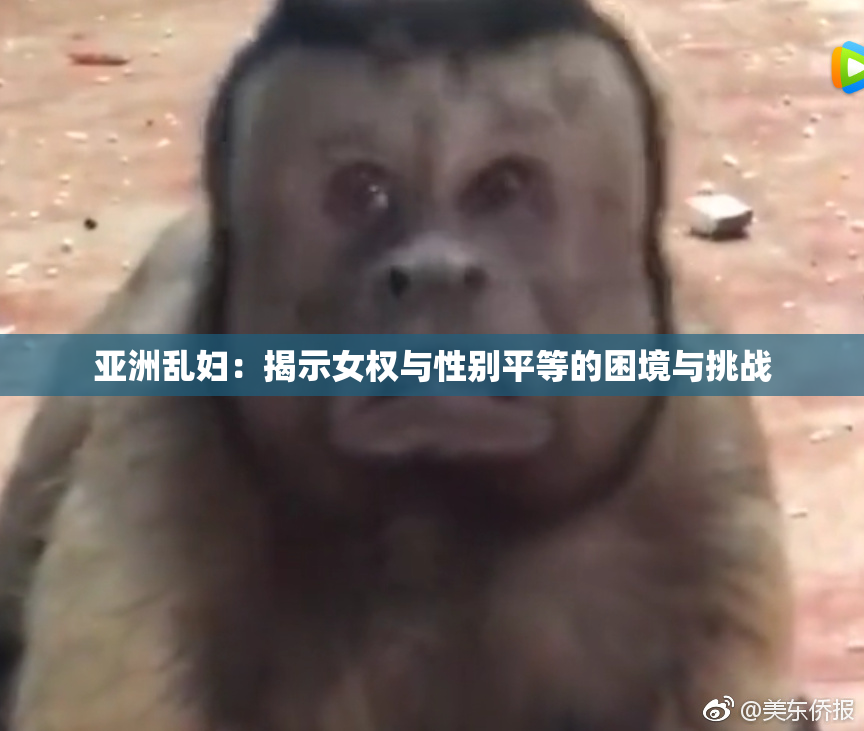 亚洲乱妇：揭示女权与性别平等的困境与挑战