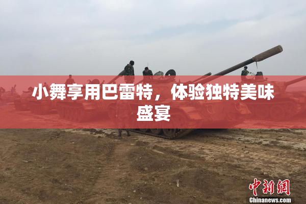 小舞享用巴雷特，体验独特美味盛宴