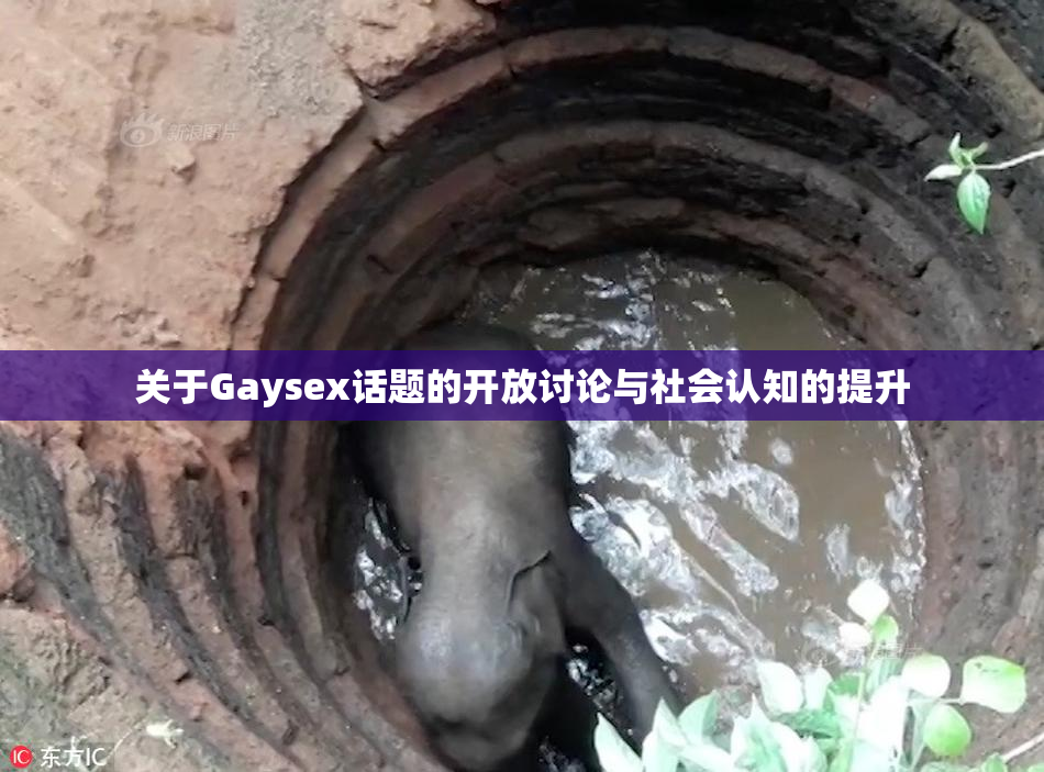 关于Gaysex话题的开放讨论与社会认知的提升