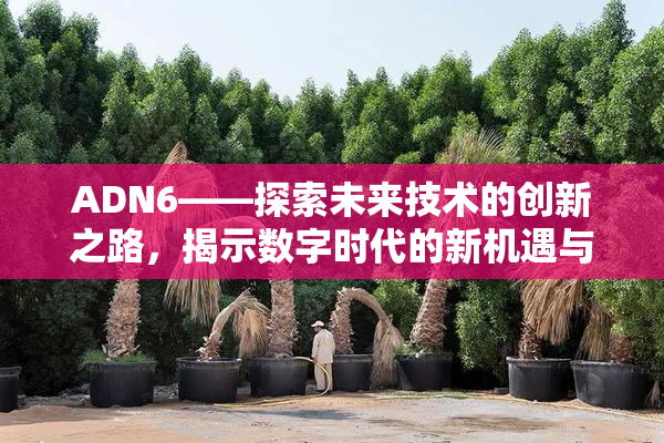 ADN6——探索未来技术的创新之路，揭示数字时代的新机遇与挑战！