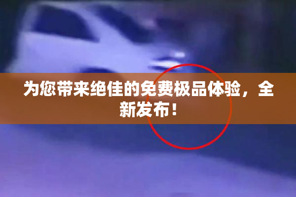 为您带来绝佳的免费极品体验，全新发布！