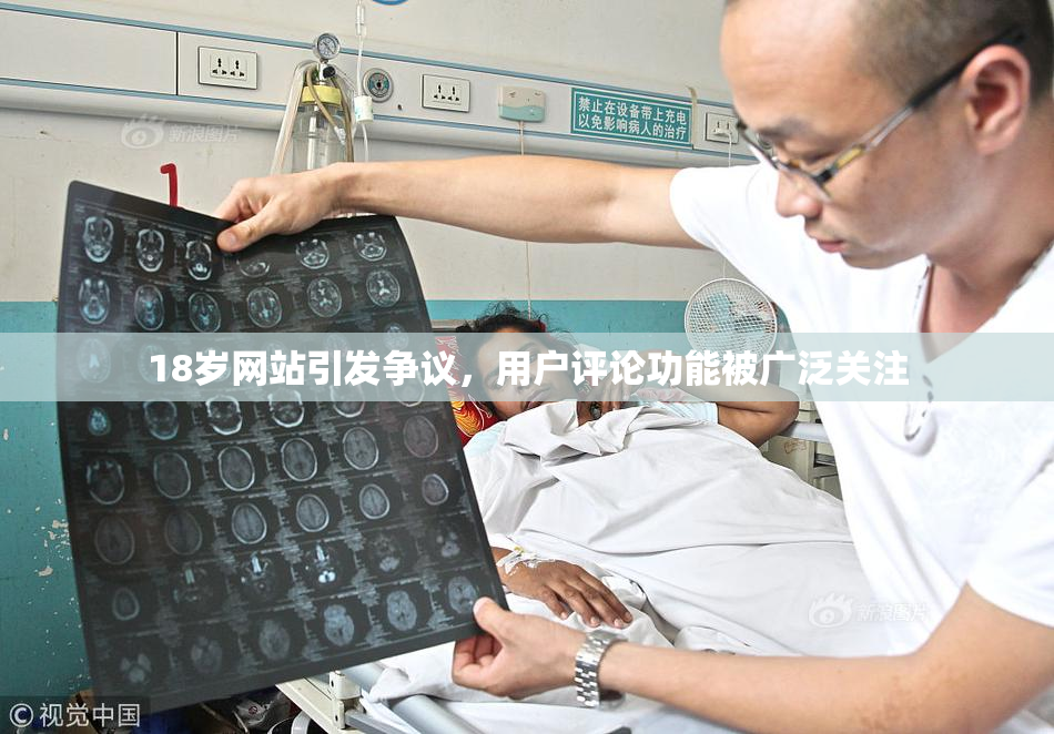 18岁网站引发争议，用户评论功能被广泛关注