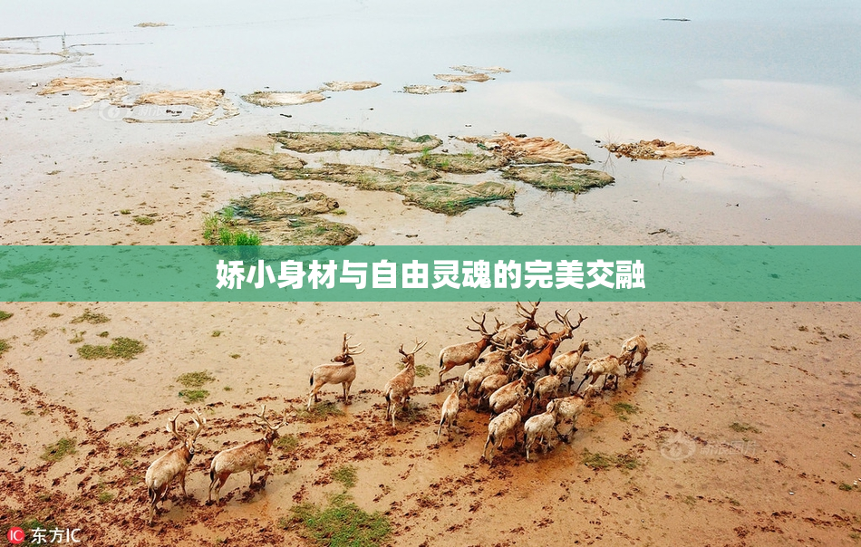 娇小身材与自由灵魂的完美交融