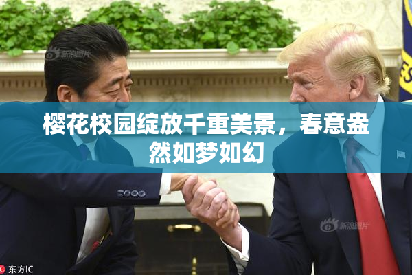 樱花校园绽放千重美景，春意盎然如梦如幻