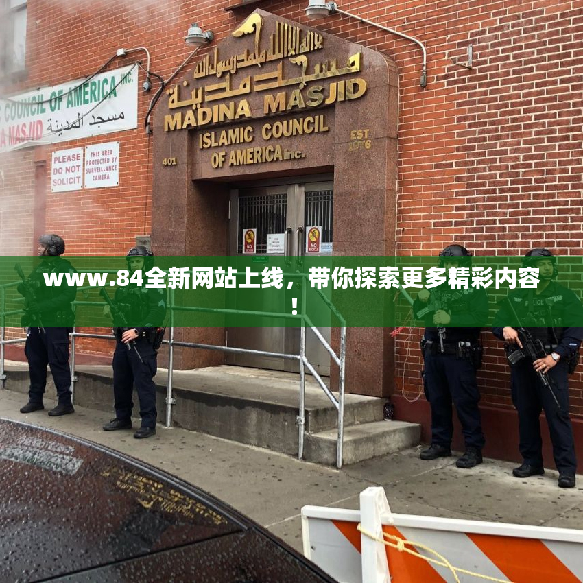www.84全新网站上线，带你探索更多精彩内容！