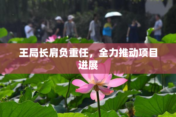 王局长肩负重任，全力推动项目进展