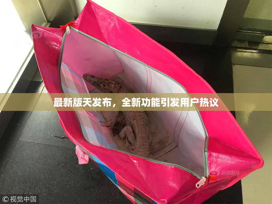 最新版天发布，全新功能引发用户热议