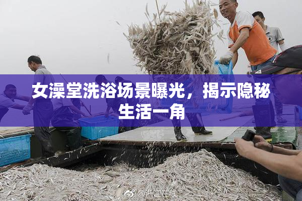 女澡堂洗浴场景曝光，揭示隐秘生活一角