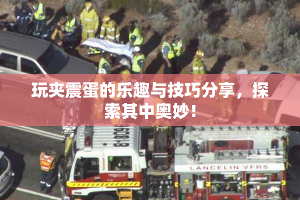 玩夹震蛋的乐趣与技巧分享，探索其中奥妙！