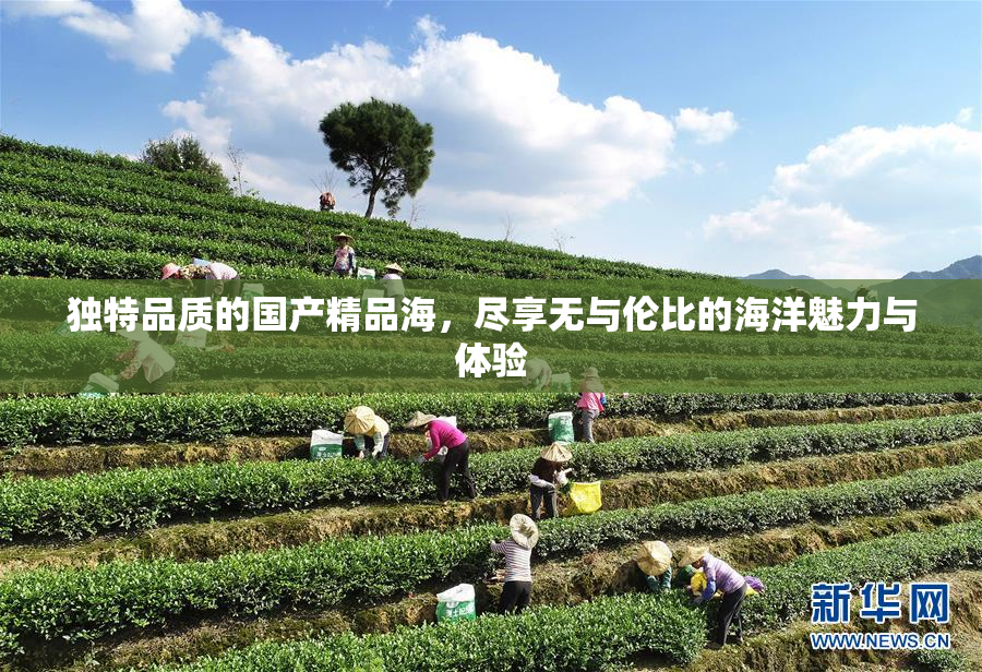独特品质的国产精品海，尽享无与伦比的海洋魅力与体验
