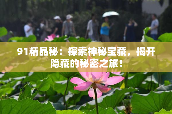 91精品秘：探索神秘宝藏，揭开隐藏的秘密之旅！