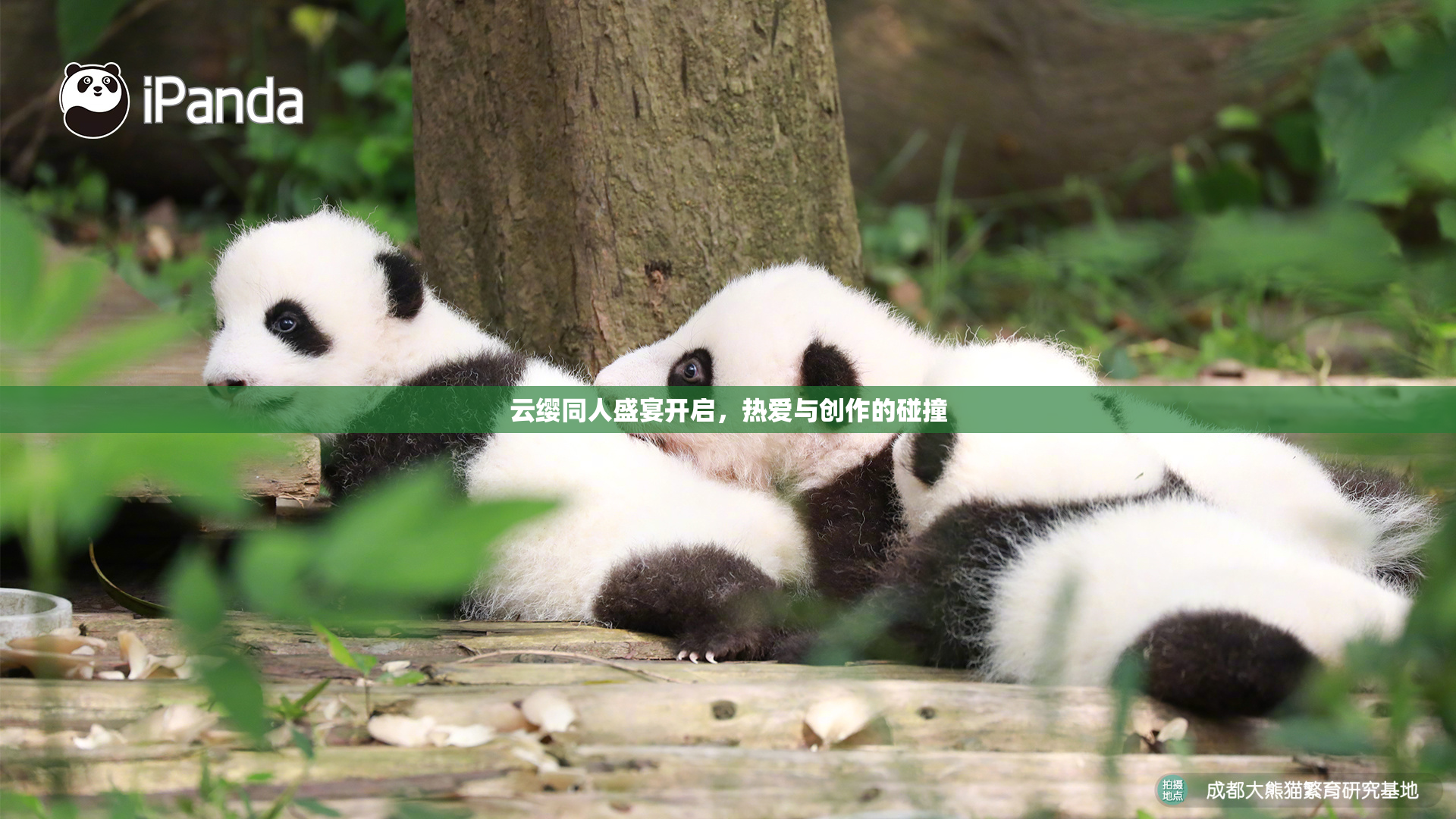 云缨同人盛宴开启，热爱与创作的碰撞