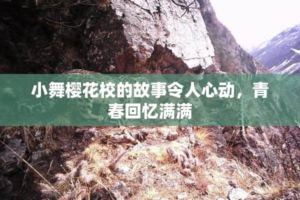 小舞樱花校的故事令人心动，青春回忆满满