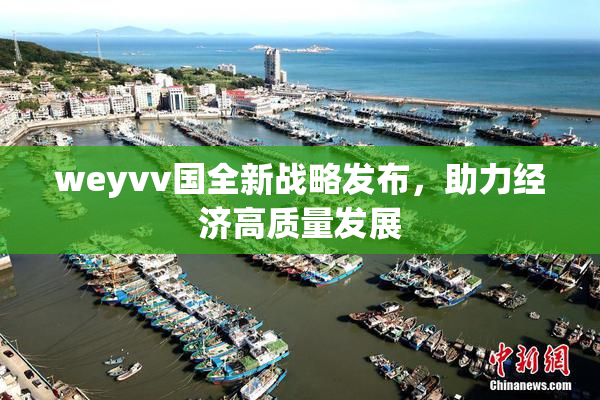 weyvv国全新战略发布，助力经济高质量发展