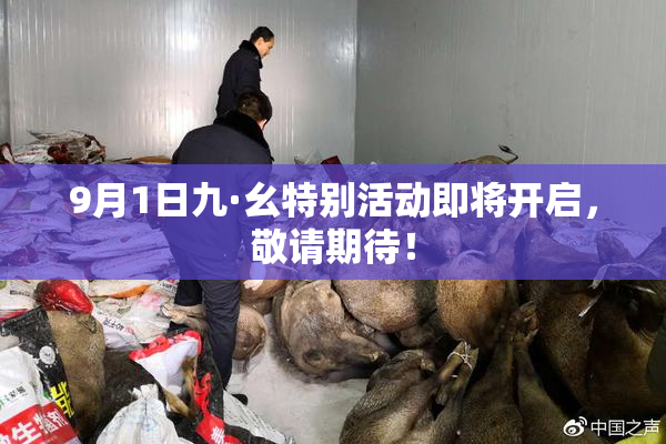 9月1日九·幺特别活动即将开启，敬请期待！