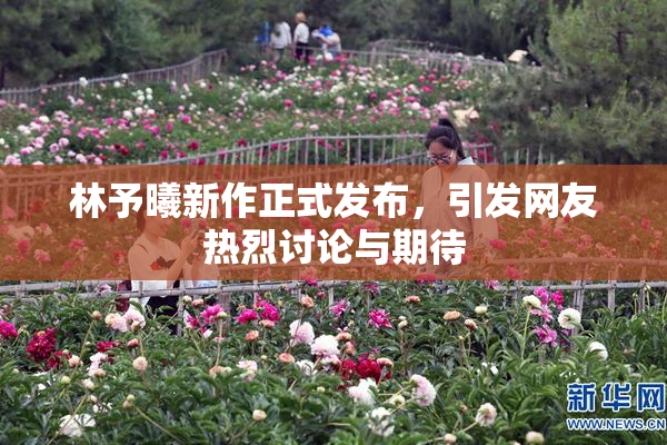 林予曦新作正式发布，引发网友热烈讨论与期待