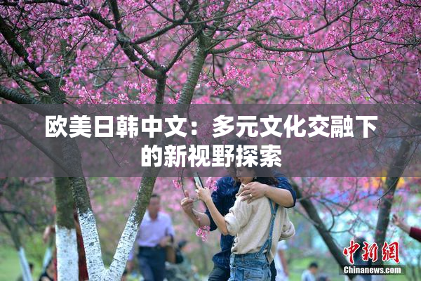 欧美日韩中文：多元文化交融下的新视野探索