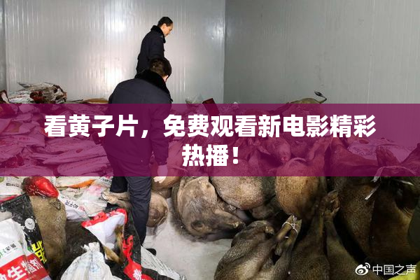 看黄子片，免费观看新电影精彩热播！