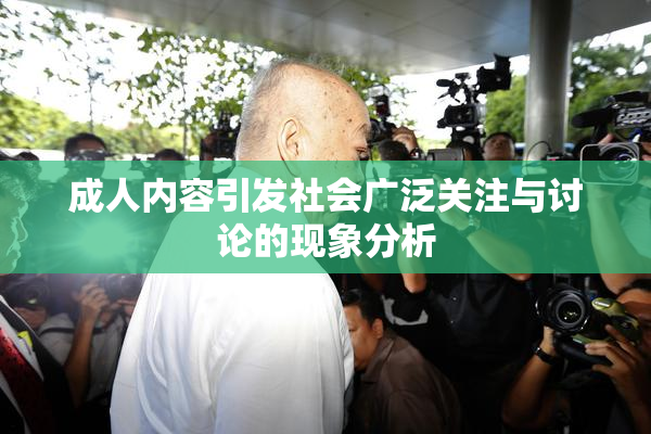 成人内容引发社会广泛关注与讨论的现象分析