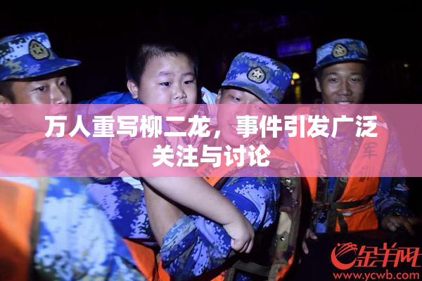 万人重写柳二龙，事件引发广泛关注与讨论